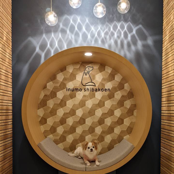 C524b444 5548 4f93 a63b 614e0c2e9ca9 1663592147319