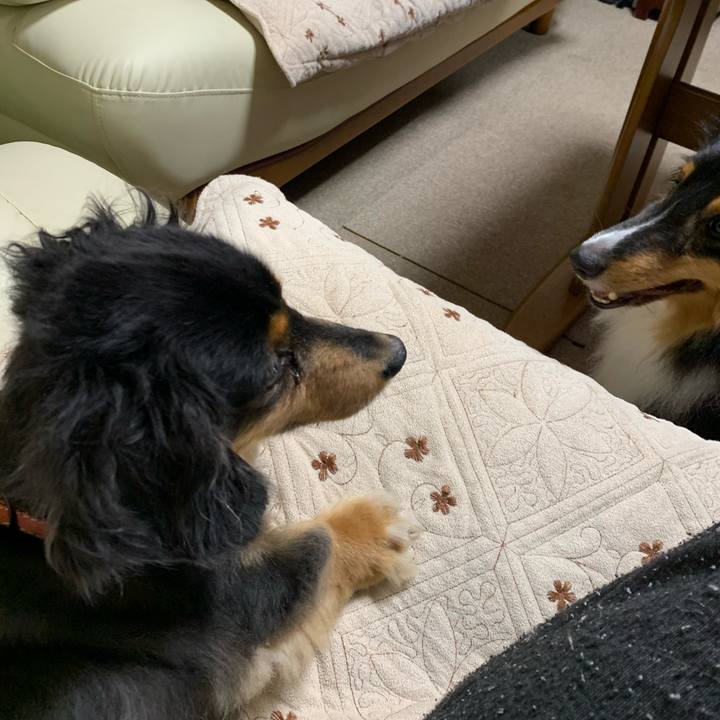 C524bb81 beef 47e0 a0c0 910067dba758 1596061339306