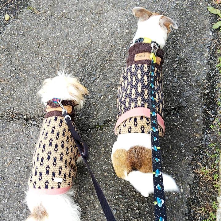 C5251759 b716 4003 ba00 bf32699f13a8 1577594264811