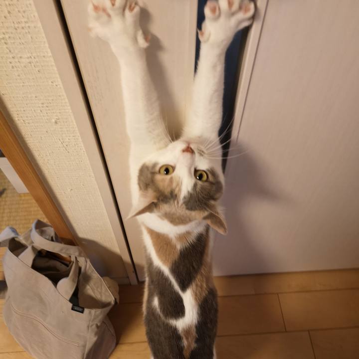 C52517b1 6713 476d 89d5 0d8e8262f2ba 1556607441922