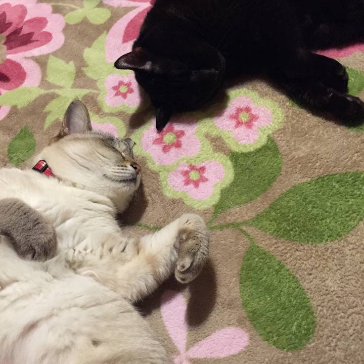 C5251b00 3791 4cfb b034 722ca911120e 1520507453571