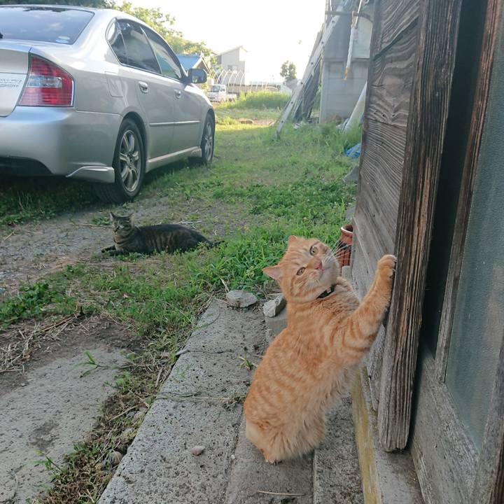 C525327f 888d 4ca4 875d f0a40cd017ce 1656926244539