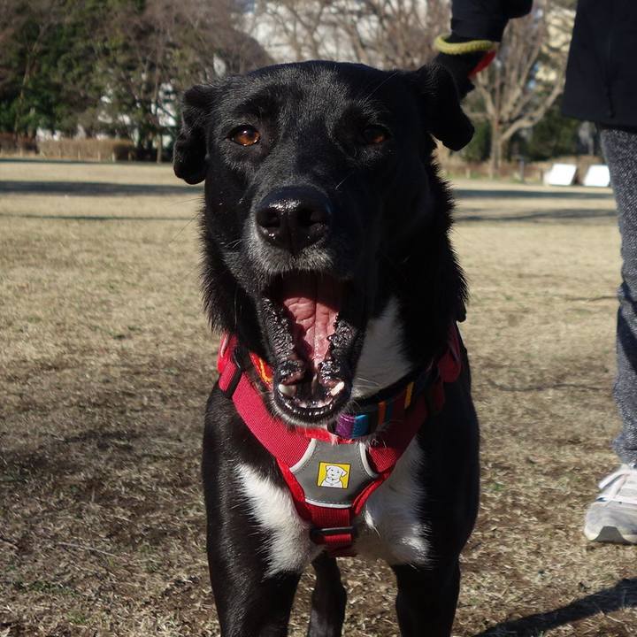 C52533af 8d77 4edb 8e22 013f5e46b581 1583485298633