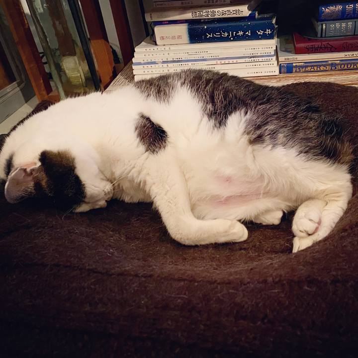 C5256c88 6190 45e8 9b3a 79429a639660 1586527465092