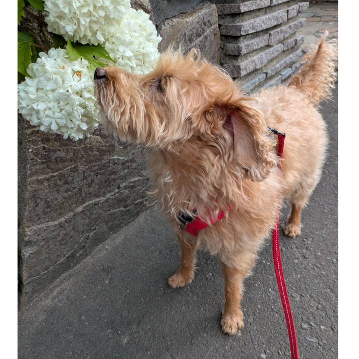 C5258278 b8a5 4b1a 962b 0ee49e6b582b 1749077434596