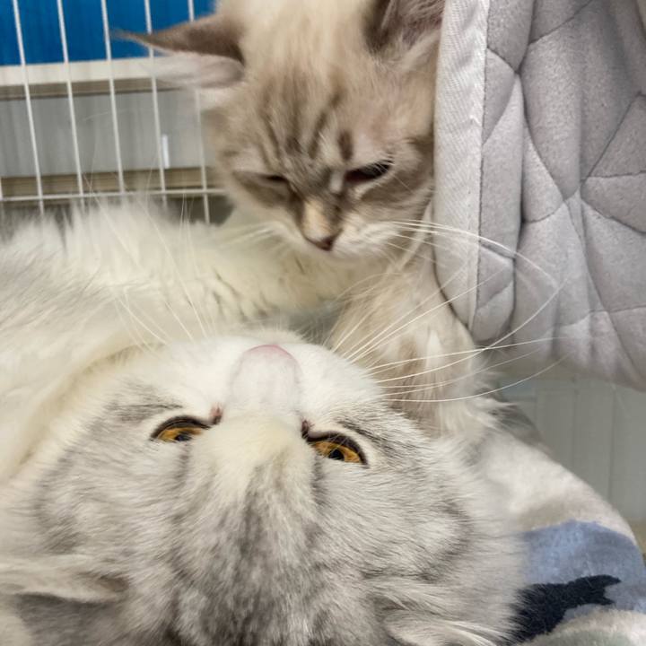 C5259d36 89ee 45fa 974b 6bc7c9fa3b78 1677763416213