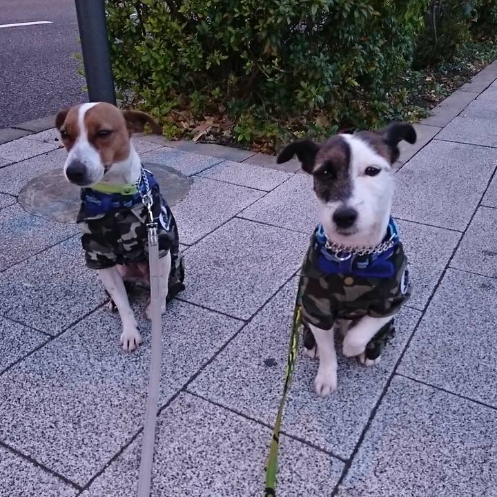 C525a0fb 2719 4fef bbe8 c4c60fc35726 1547502973445