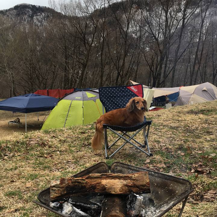 C525bb9e c562 4b48 b29b c1ae242a8825 1556719968492