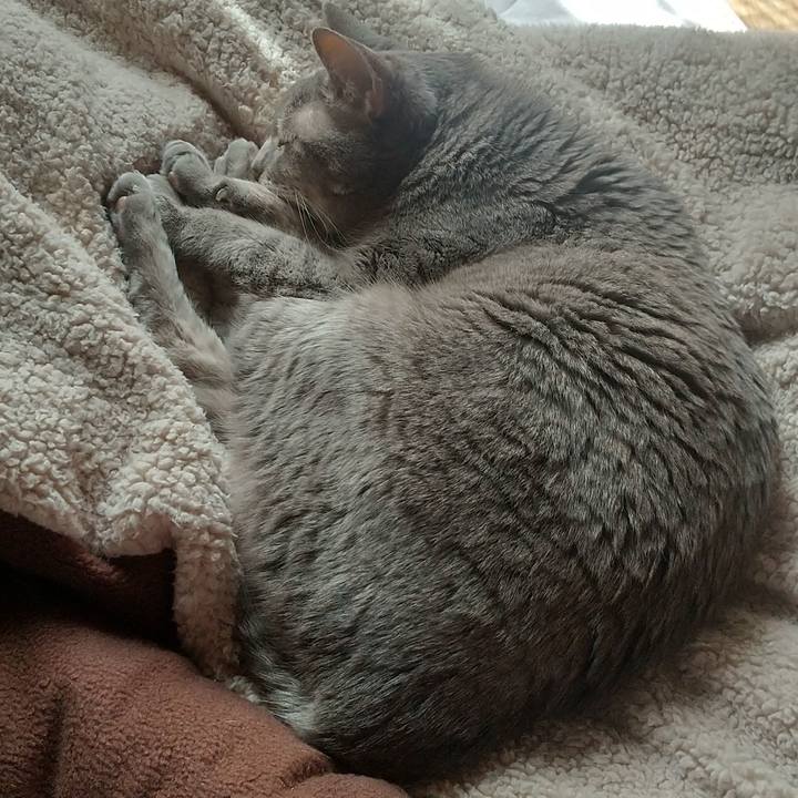 C525c575 4728 455f a7fb 4b5cd8db7b0d 1713087685649