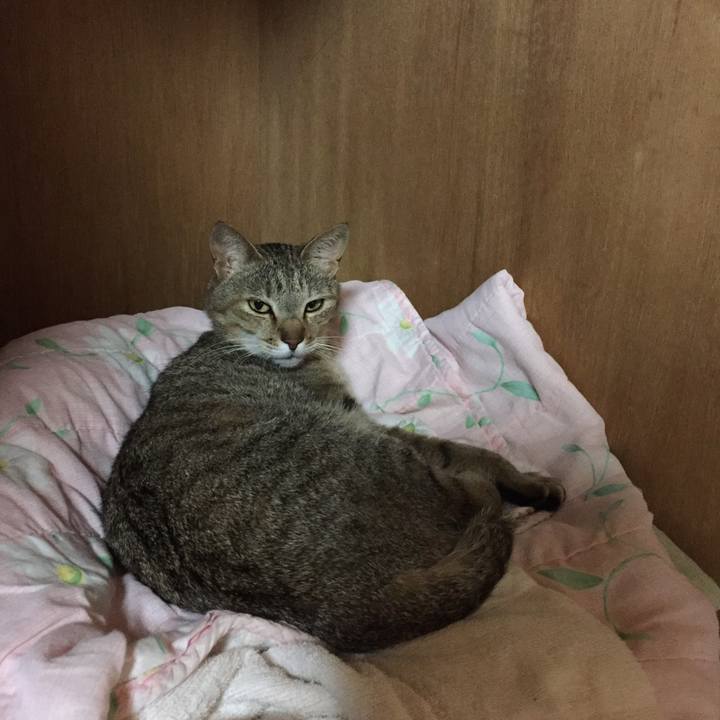 C525f956 0fdd 444f 9988 fbf814f43334 1528664712787