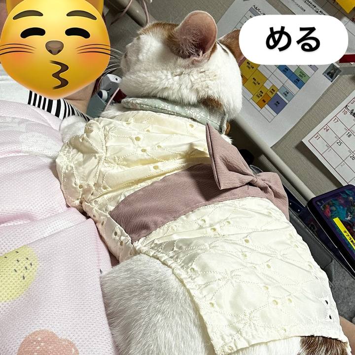 C5260315 9b07 4667 a6d8 09836fa53e68 1751650542999