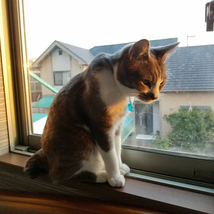 C52606da d952 4e7d b975 85dd5497159a 1618178225428