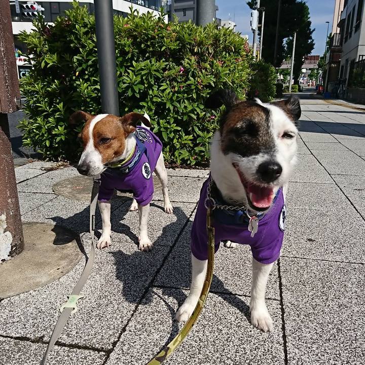 C52620c3 27ab 4446 b09e d71fc3a452bc 1589671449857