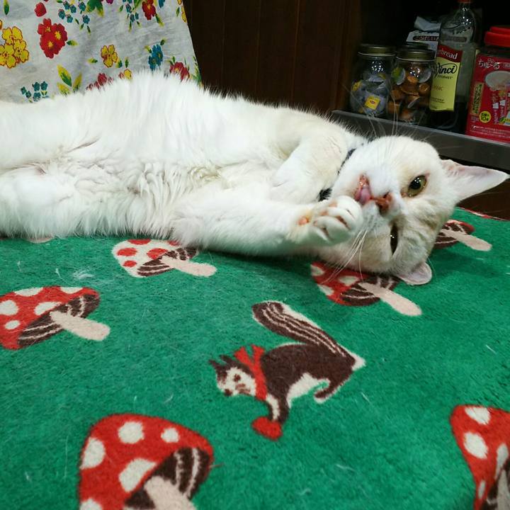 C5262e50 dead 452a 9d24 c02d72784c5d 1533387791555