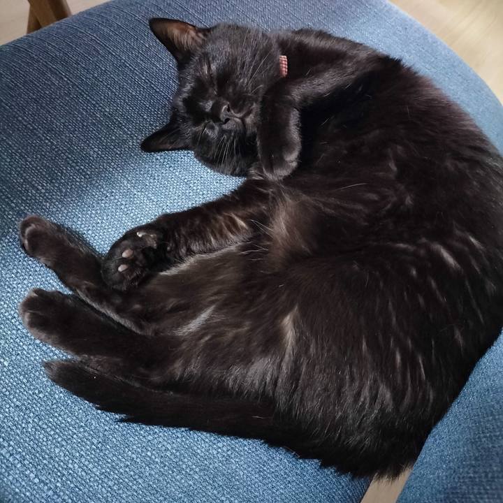 C52630ec a329 4ae3 a805 e3d56af372b4 1690550372248