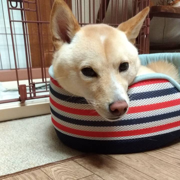 C52636da 345f 4918 8236 4f66bc6f1ad9 1534157236836