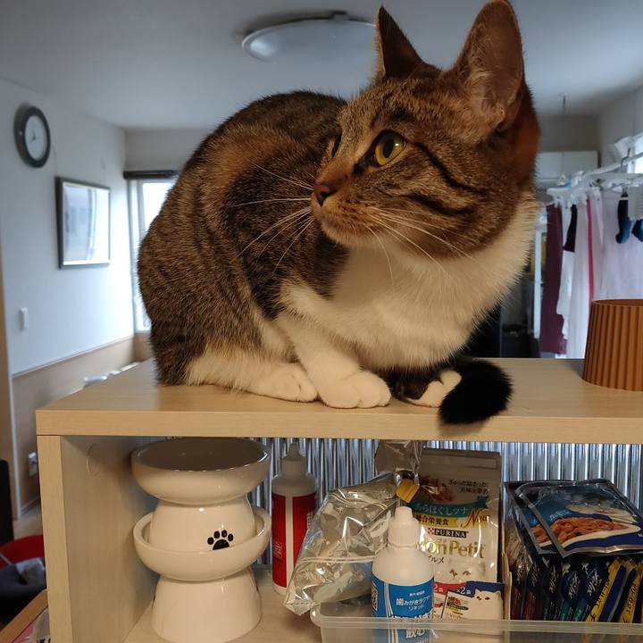 C52637fc 9778 4576 a294 0c53e36239bf 1680044825685