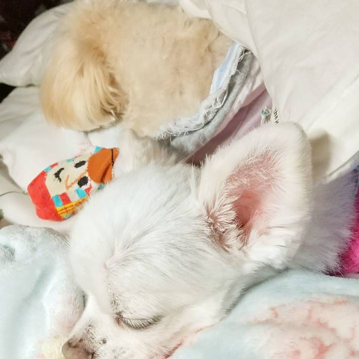 C5265bfc 4731 4867 8f30 862dac57231e 1604408929107