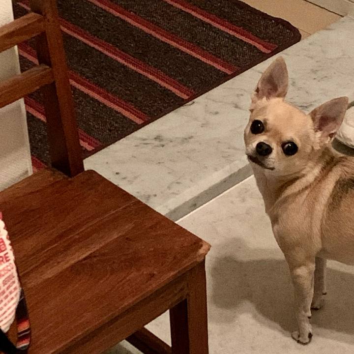 C526b555 838f 4b79 8cb7 ae8789dbe178 1602062386690