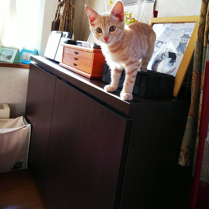 C526c60c 3686 40af bae1 172e4953de15 1541288820939