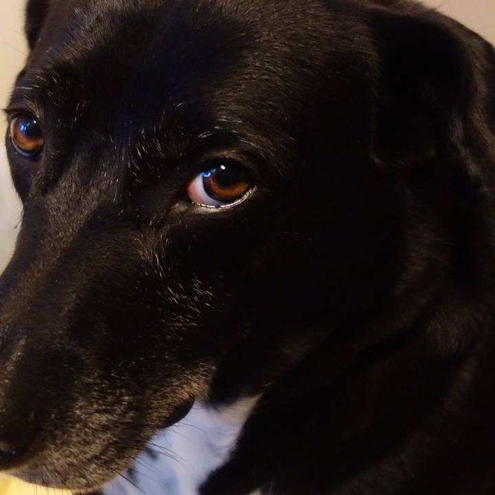 C527338e 5b38 47c3 9fc6 a6cbdf521940 1694652801743