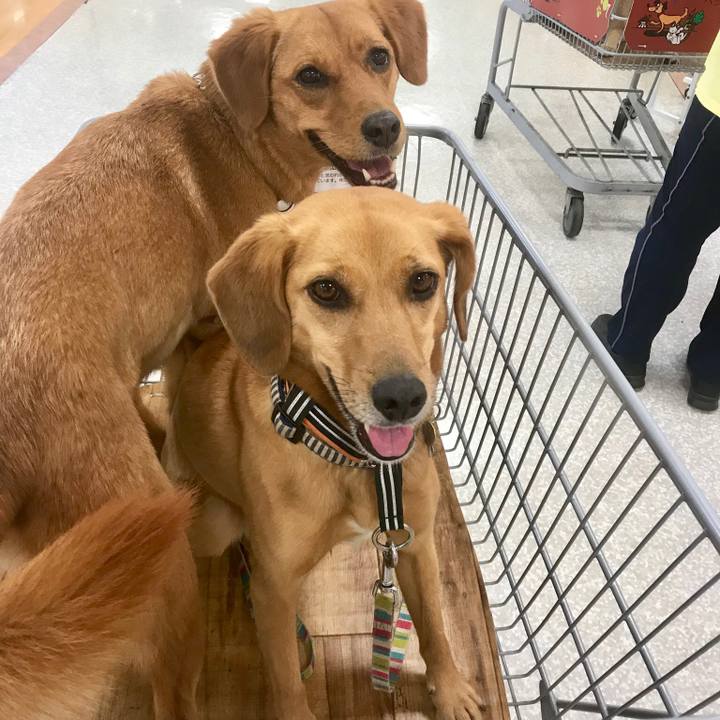 C5274808 322b 4bcd 952a 17e34c02923b 1527855238095