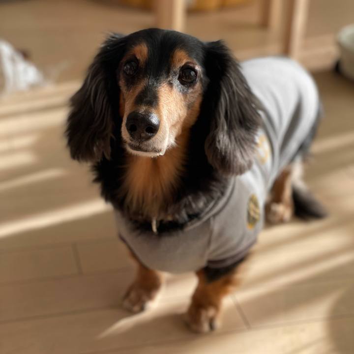 C527a696 3d07 449f b074 5f6b4bfd2875 1638074078769