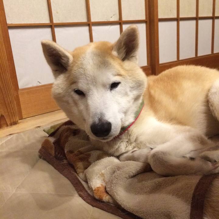 C527bb11 875c 4a73 beba b61bea328bbc 1575903079962