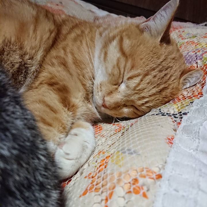 C5282f06 6ce1 425d b709 cbb87fb0a7ca 1577535775904