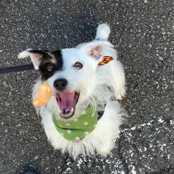 C5287a63 4c5c 403e 8e61 d60920eb5090 1659914608142