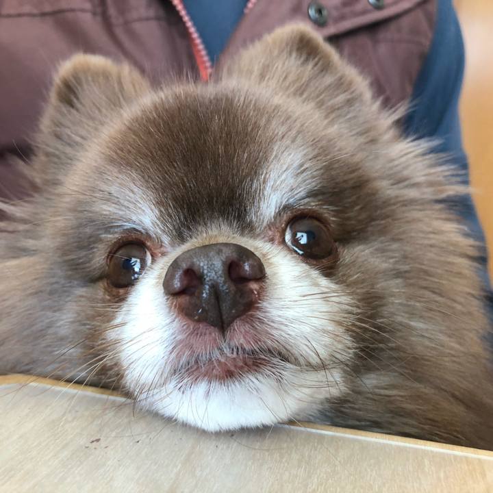 C528871d 1b00 4592 a071 99c93e136cc1 1609909168837