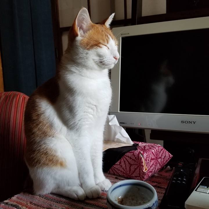 C528dd87 8231 43f5 bf5a 40775c2e856d 1534036373767