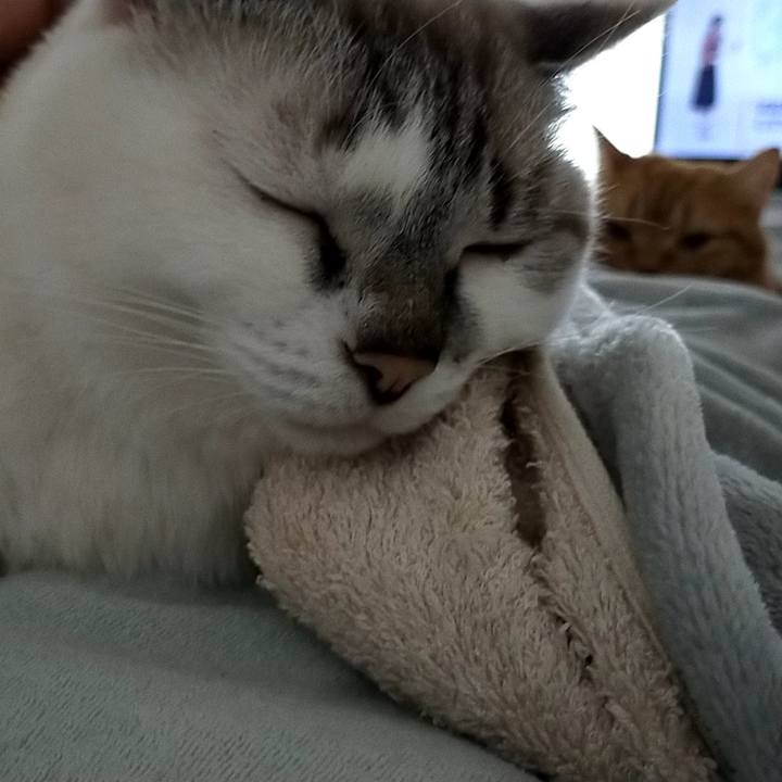 C52904a0 da37 41bf 8bf6 496c181608ad 1603234981904