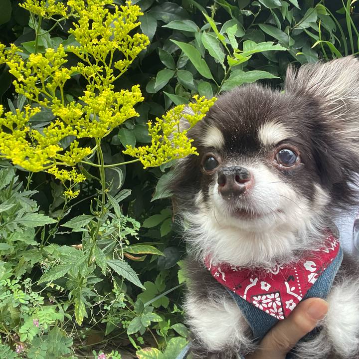 C5291dac 4ed6 4f1a 8ec0 622233b0c81c 1695362321864