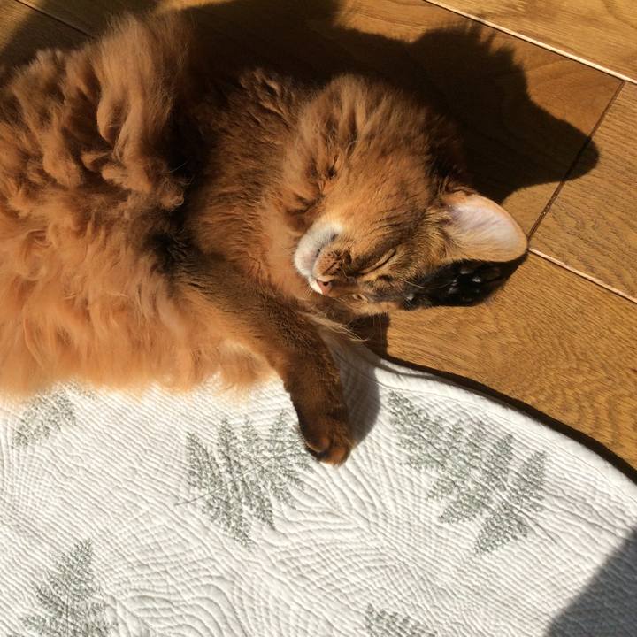 C52969be 82e7 4ff5 8245 b13fa5057154 1605582407739