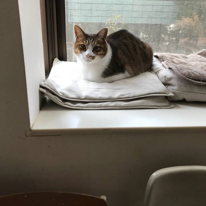 C5297060 ae52 46a2 bf05 64d5a97db554 1517797961586