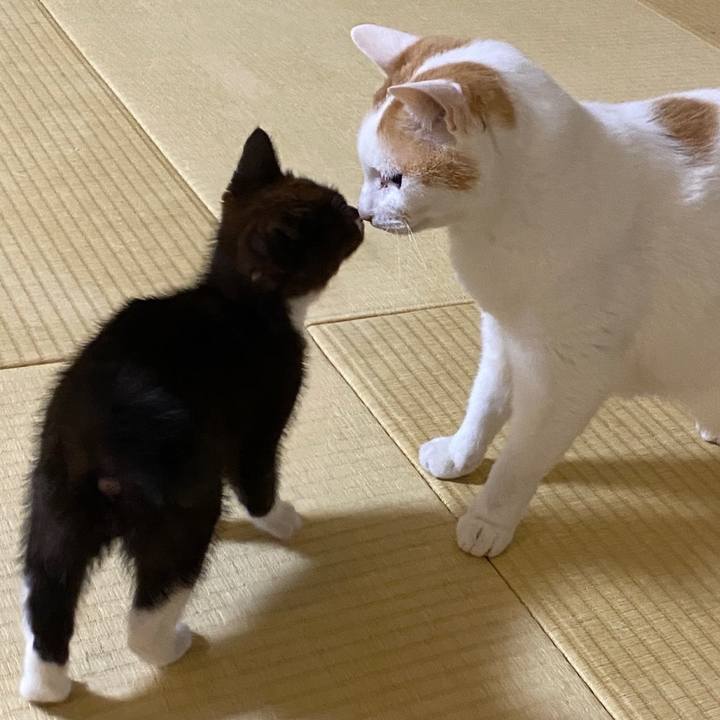 C5299d15 e1a9 4763 a96d 9596ccccbdd9 1577369225603