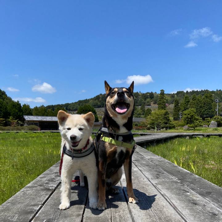 C5299d54 04ae 498c a9c3 7162cd65441d 1682635884698