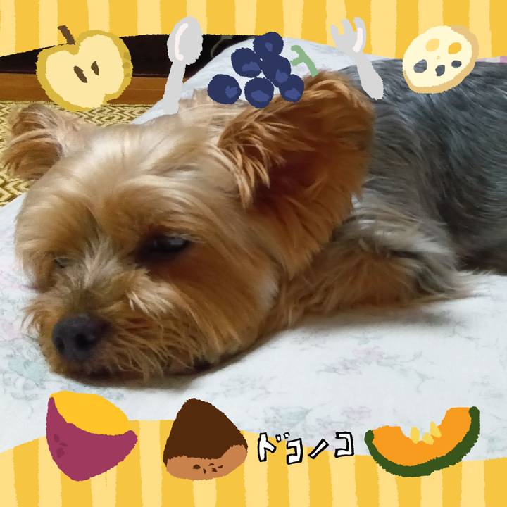 C529a5c1 d99f 4719 9698 3352bb312f23 1726814015116