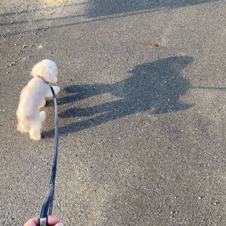 C529a7ae e457 435c 8e3c cc39391c7f28 1627683934769