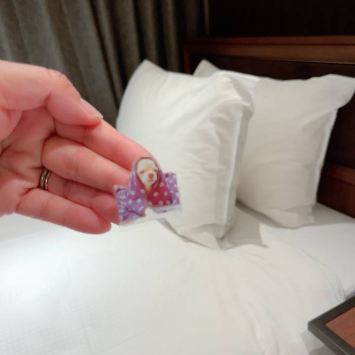 C529ea27 8f35 4f71 9fc6 139389cad76d 1711264501430