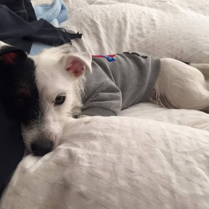 C529f198 24c4 4f65 ac7b 49b751ed438c 1638573543526