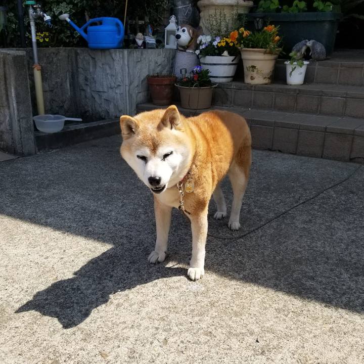 C52a32ea a314 4fe7 b734 6f33ada9990c 1744854181435