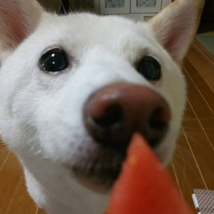 C52a6933 5e95 4fdd 8fac 1a0efa099ca4 1597833410985