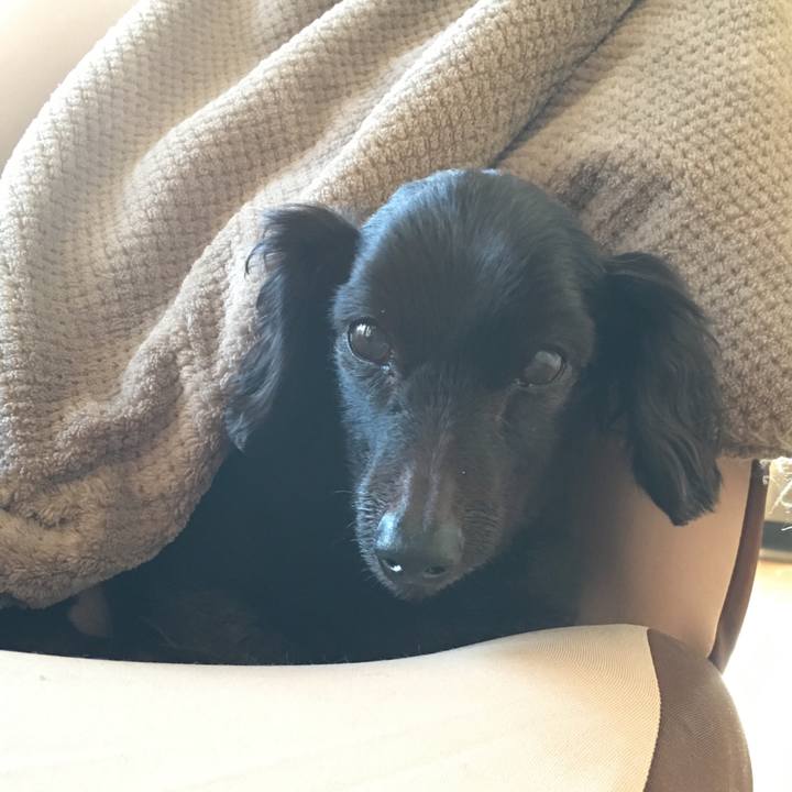 C52a8c74 f308 4ed9 910b 6e10f66bbb7b 1548805058818