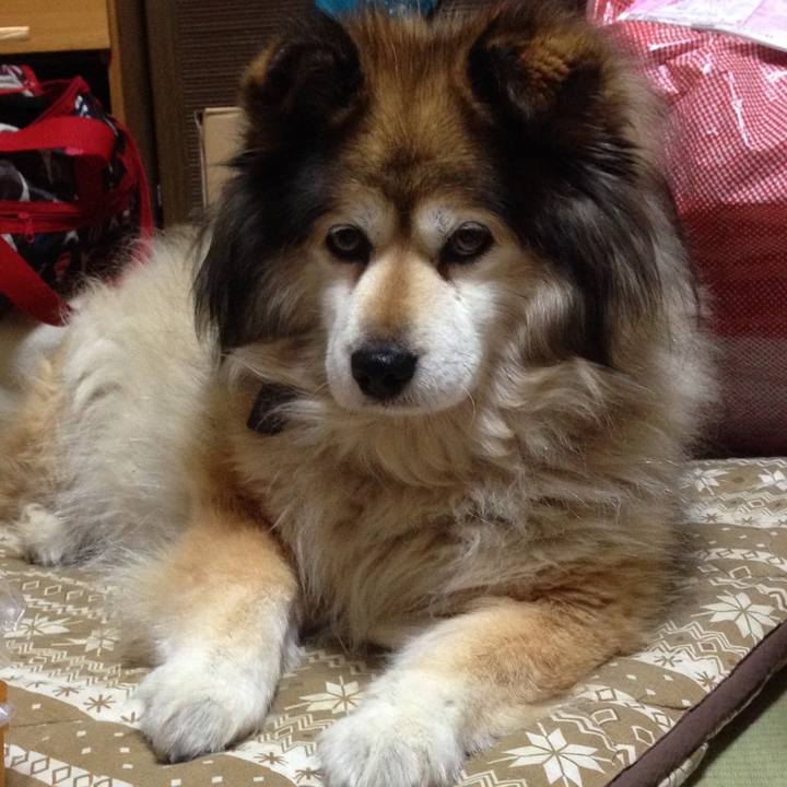 C52a9b86 be24 4ce5 9bfd 215062012e83 1567552871436