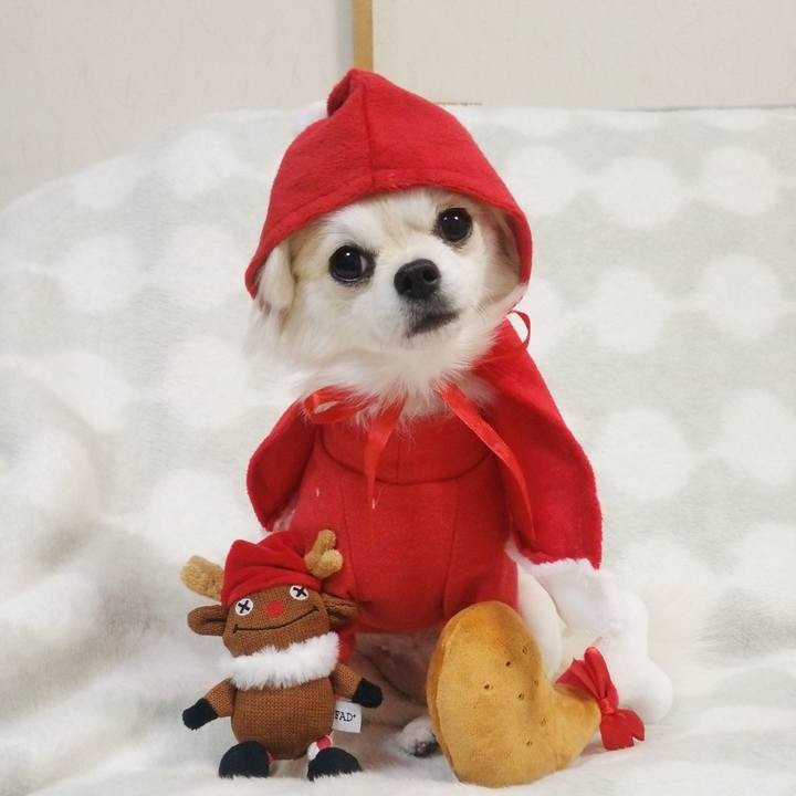 C52ab9d6 65ce 4b85 939e 2e3f72489273 1640351266024