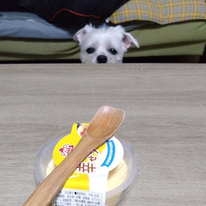 C52ae98f b2ac 43e8 b582 31ce302e4ca3 1732541058336