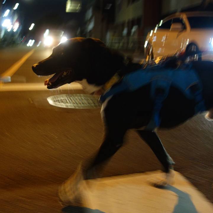 C52af874 8df5 4b59 82a9 12a27dace8b0 1632656553084