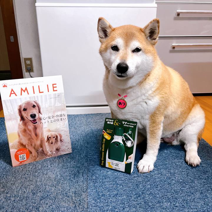 C52af88a f199 4c97 b2f3 21f4b44b24e2 1710411386577